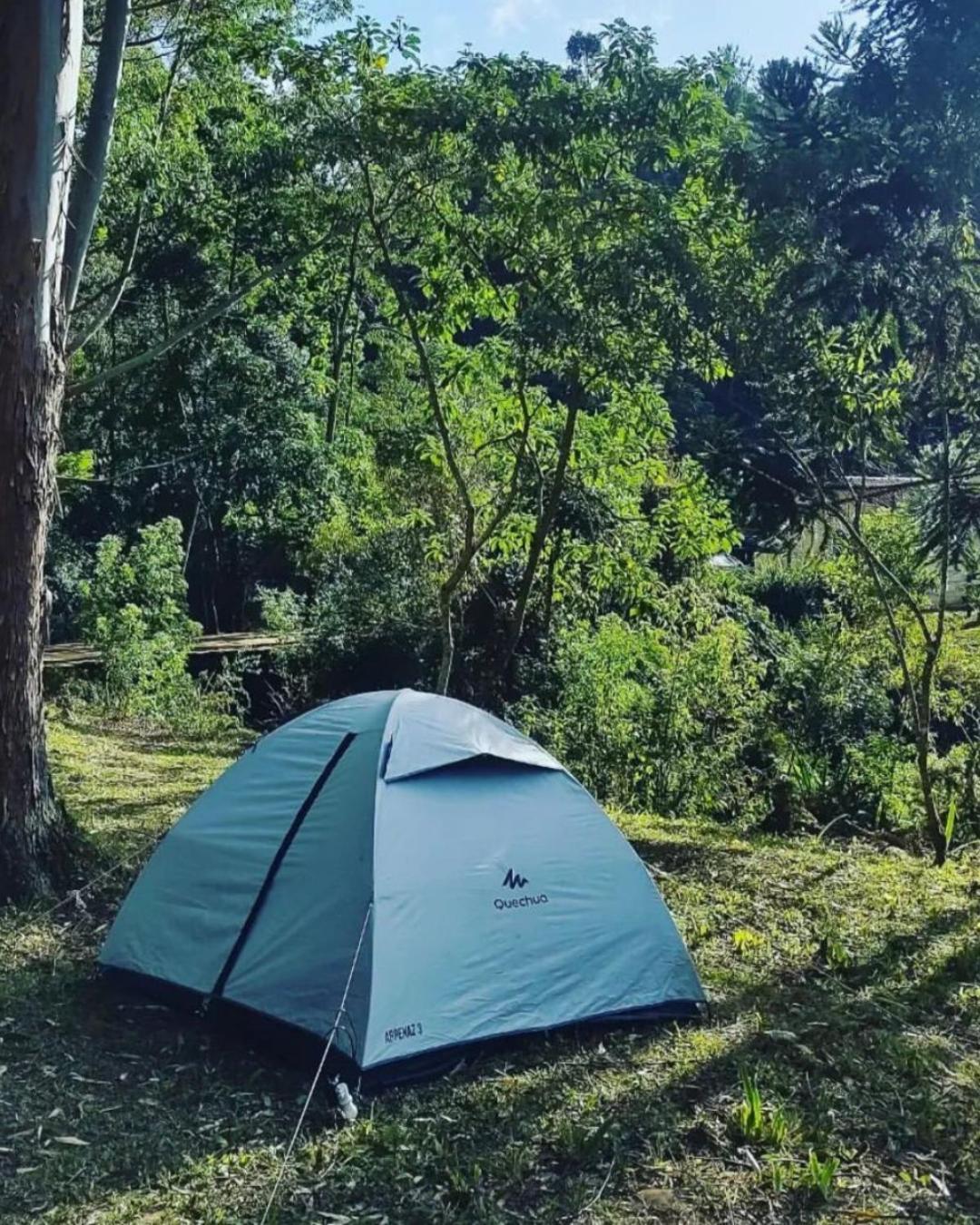 Hotel Fazenda Boa Esperanca ديلفيم مورييرا المظهر الخارجي الصورة